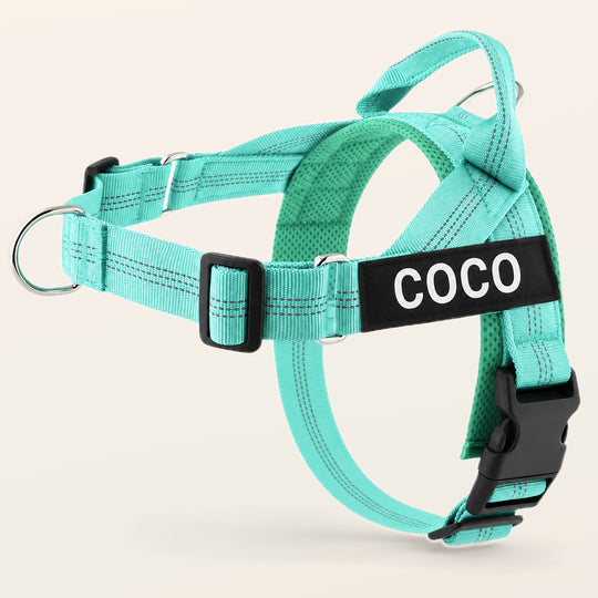 Aqua SafeWalk No-Pull 2.0 harness with COCO name patch on a warm ivory background
