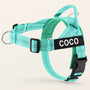 Aqua SafeWalk No-Pull 2.0 harness with COCO name patch on a warm ivory background
