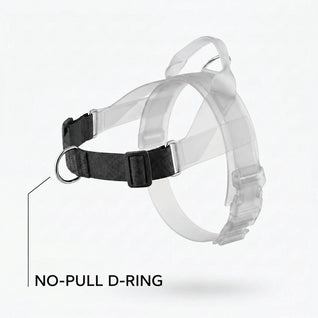 SafeWalk No-Pull D-ring feature illustration