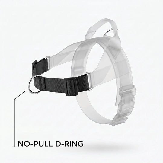 SafeWalk No-Pull D-ring feature illustration
