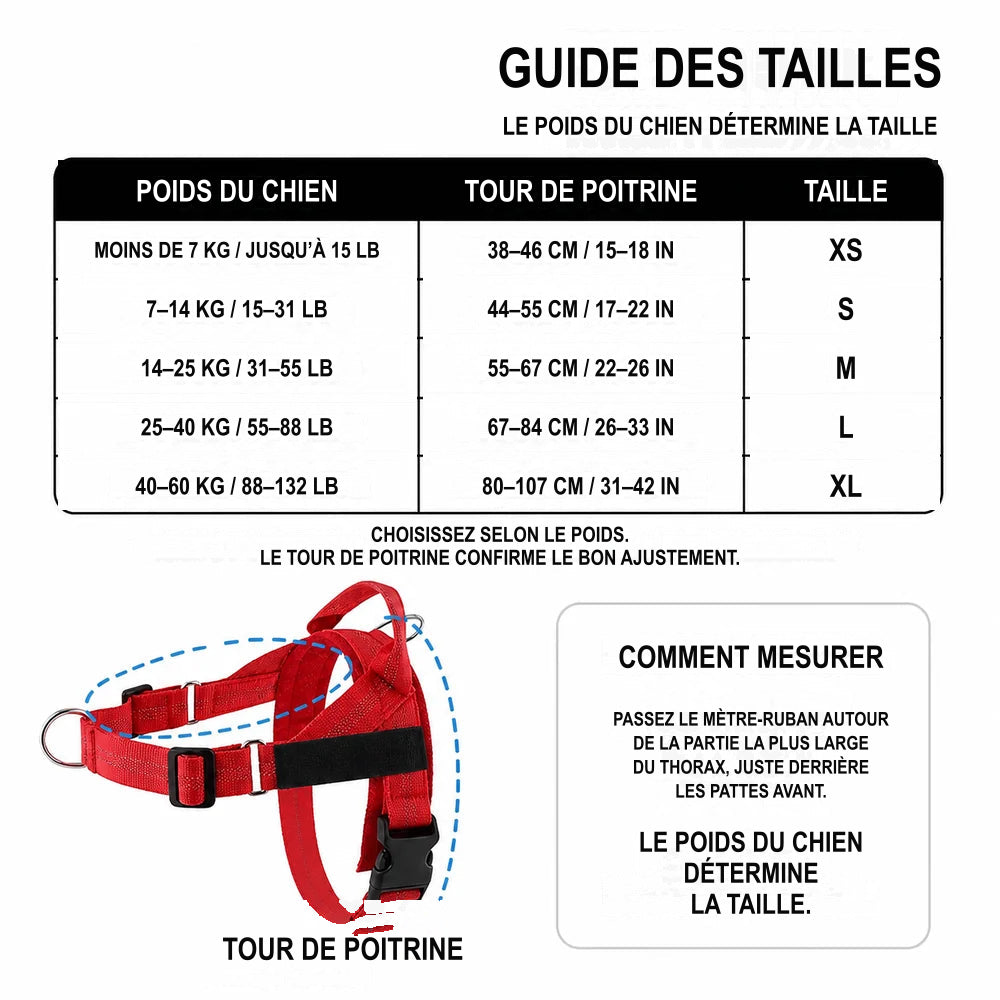 Guide des tailles SafeWalk : le poids détermine la taille ; le tour de poitrine confirme l’ajustement