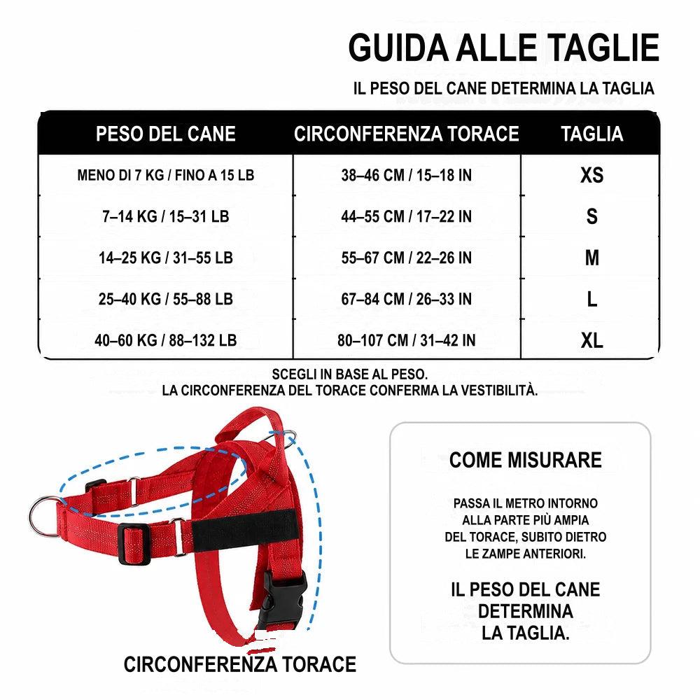 Guida alle taglie SafeWalk: il peso determina la taglia; la circonferenza del torace conferma la vestibilità