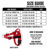 SafeWalk size guide: weight decides the size; chest girth confirms fit