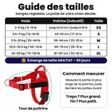 Guide des tailles SafeWalk : XS 2–6 kg, S 6,5–11 kg, M 11,5–20 kg, L 20,5–33,5 kg, XL 34–60 kg. Échange de taille gratuit sous 60 jours.