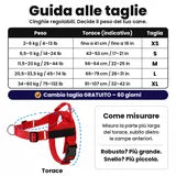 Guida alle taglie SafeWalk: XS 2–6 kg, S 6,5–11 kg, M 11,5–20 kg, L 20,5–33,5 kg, XL 34–60 kg. Cambio taglia gratuito entro 60 giorni.